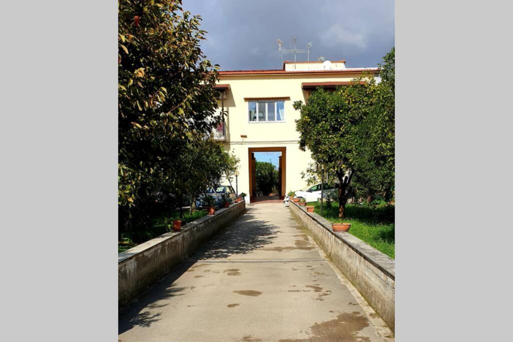 Appartamento In Villa Alle Falde Del Vesuvio Napoli Exterior foto